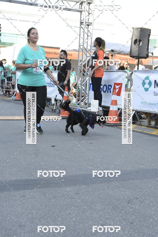 Buy your photos of the event2� Pet Run Shopping Eldorado  on Fotop