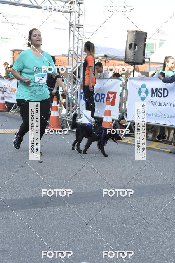 Buy your photos of the event2� Pet Run Shopping Eldorado  on Fotop