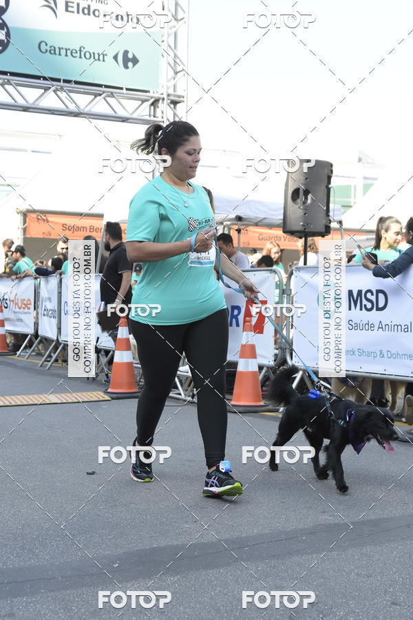 Buy your photos of the event2� Pet Run Shopping Eldorado  on Fotop