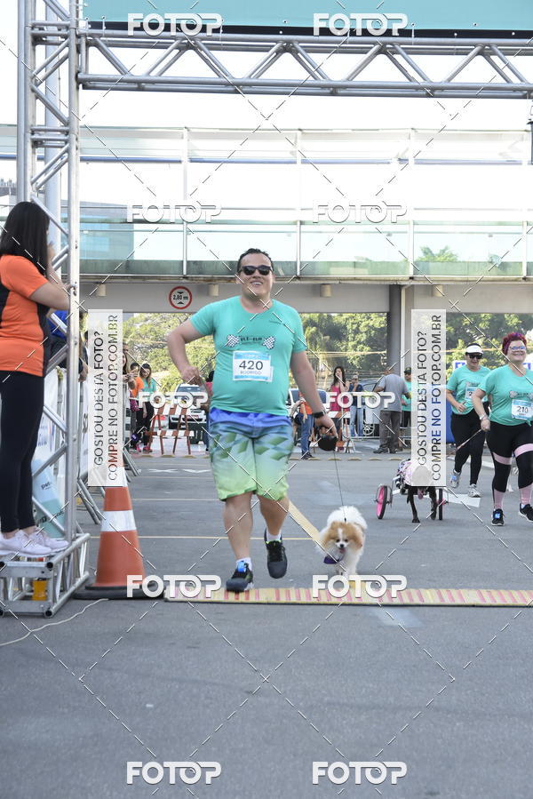 Buy your photos of the event2� Pet Run Shopping Eldorado  on Fotop