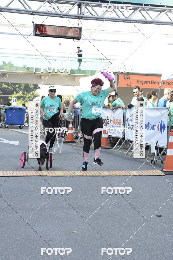 Buy your photos of the event2� Pet Run Shopping Eldorado  on Fotop