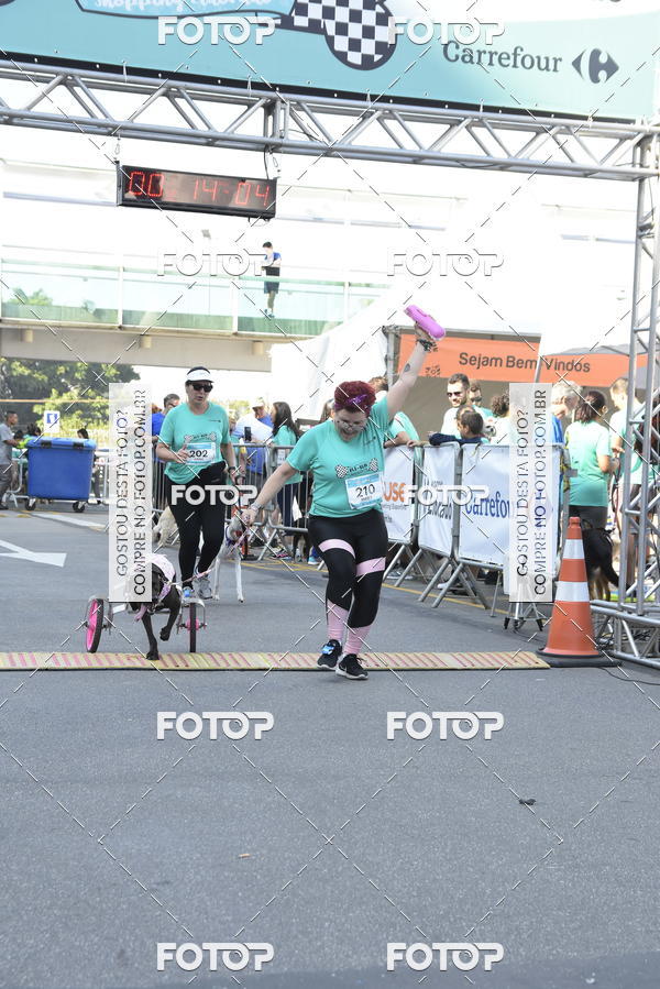 Buy your photos of the event2� Pet Run Shopping Eldorado  on Fotop