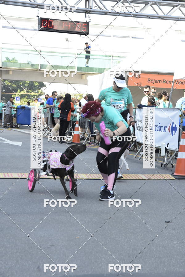 Buy your photos of the event2� Pet Run Shopping Eldorado  on Fotop