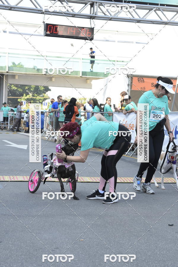 Buy your photos of the event2� Pet Run Shopping Eldorado  on Fotop