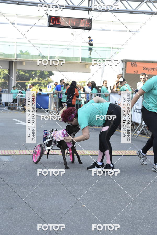 Buy your photos of the event2� Pet Run Shopping Eldorado  on Fotop