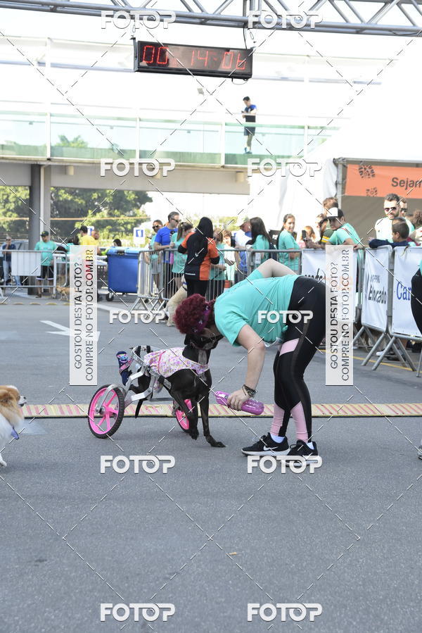 Buy your photos of the event2� Pet Run Shopping Eldorado  on Fotop