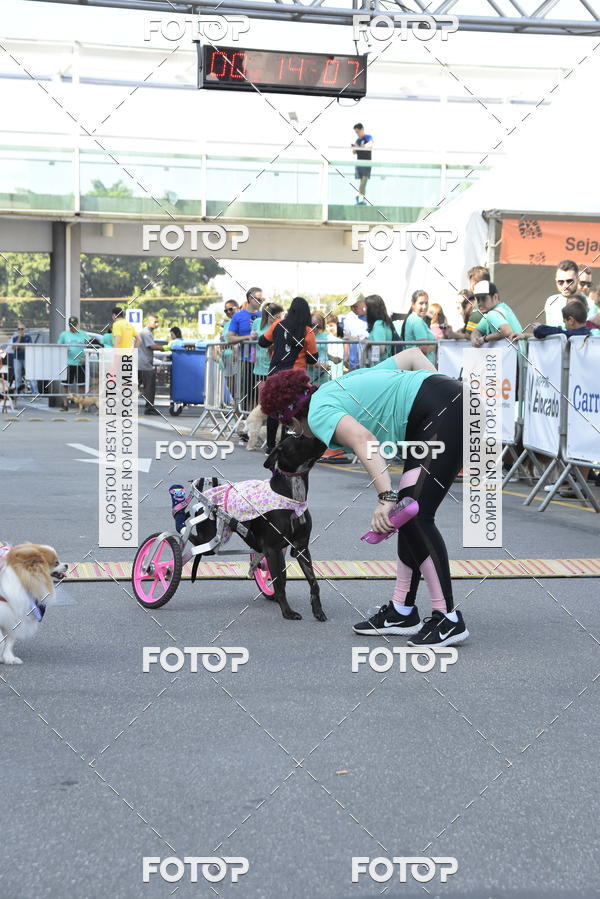 Buy your photos of the event2� Pet Run Shopping Eldorado  on Fotop