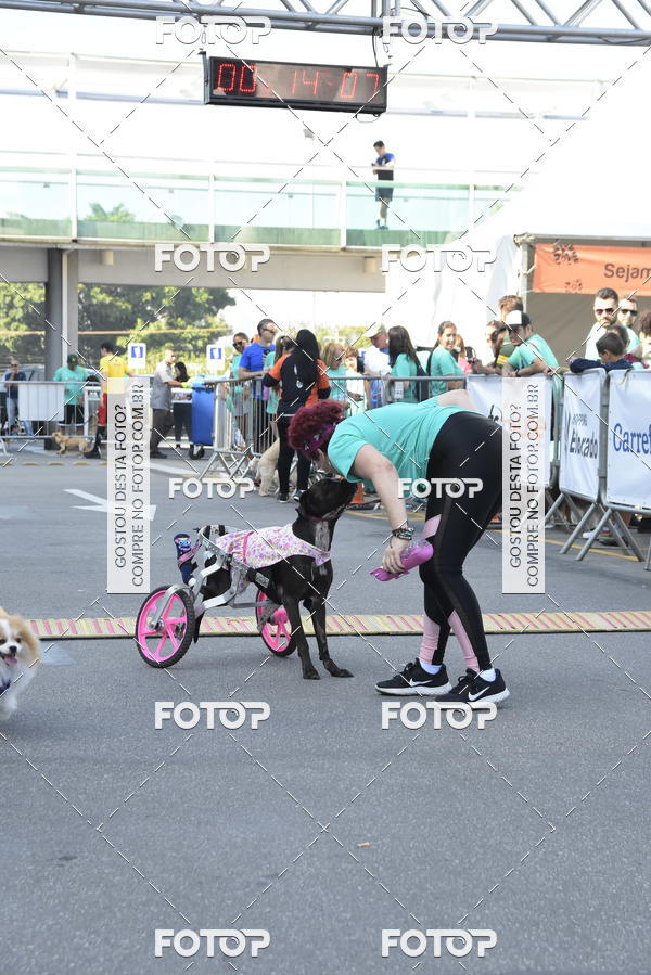Buy your photos of the event2� Pet Run Shopping Eldorado  on Fotop