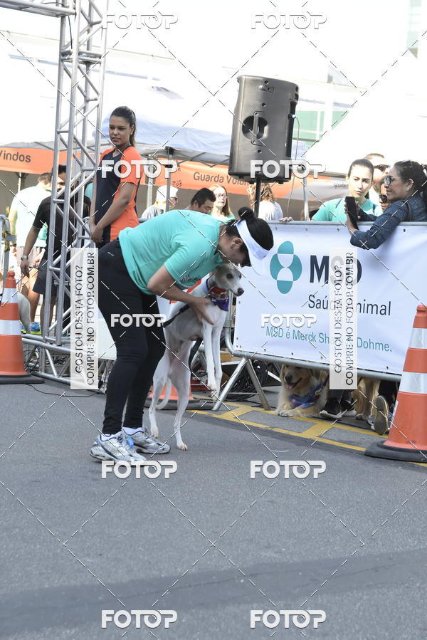 Buy your photos of the event2� Pet Run Shopping Eldorado  on Fotop