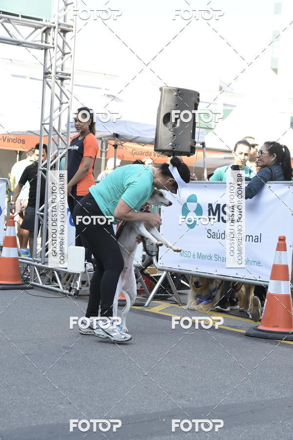 Buy your photos of the event2� Pet Run Shopping Eldorado  on Fotop