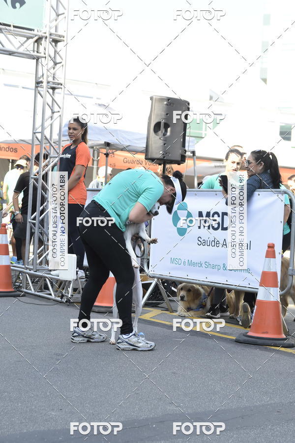 Buy your photos of the event2� Pet Run Shopping Eldorado  on Fotop