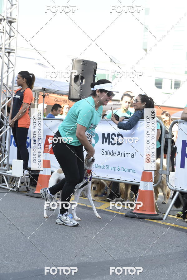 Buy your photos of the event2� Pet Run Shopping Eldorado  on Fotop