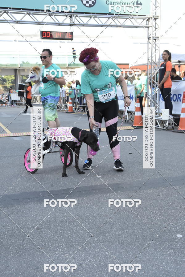 Buy your photos of the event2� Pet Run Shopping Eldorado  on Fotop