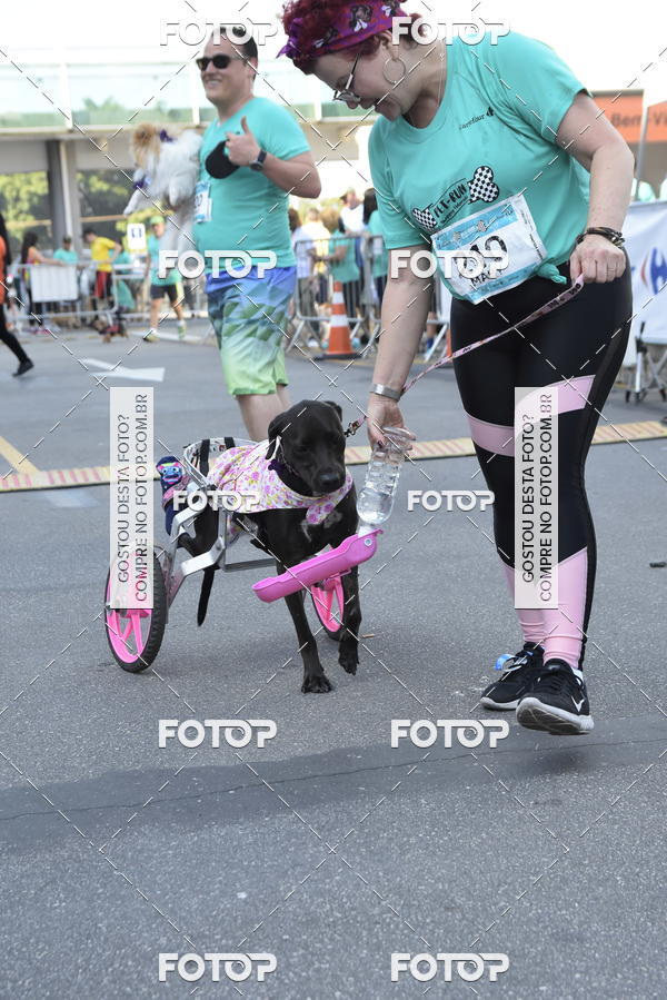 Buy your photos of the event2� Pet Run Shopping Eldorado  on Fotop