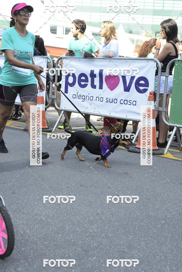 Buy your photos of the event2� Pet Run Shopping Eldorado  on Fotop