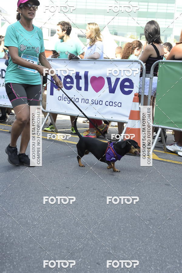 Buy your photos of the event2� Pet Run Shopping Eldorado  on Fotop