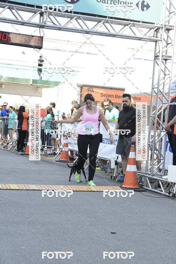 Buy your photos of the event2� Pet Run Shopping Eldorado  on Fotop