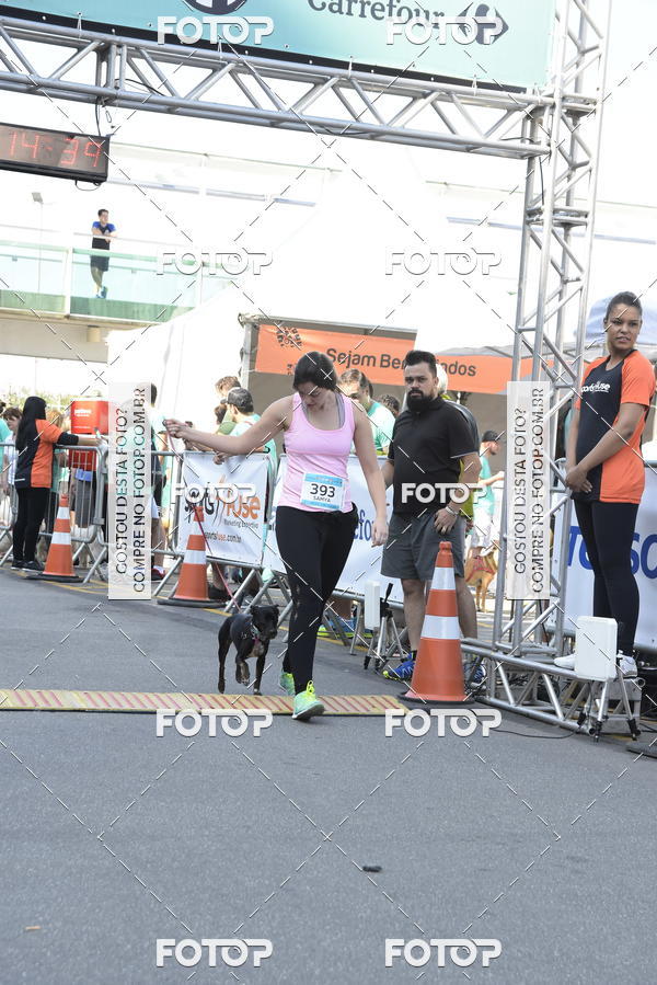 Buy your photos of the event2� Pet Run Shopping Eldorado  on Fotop