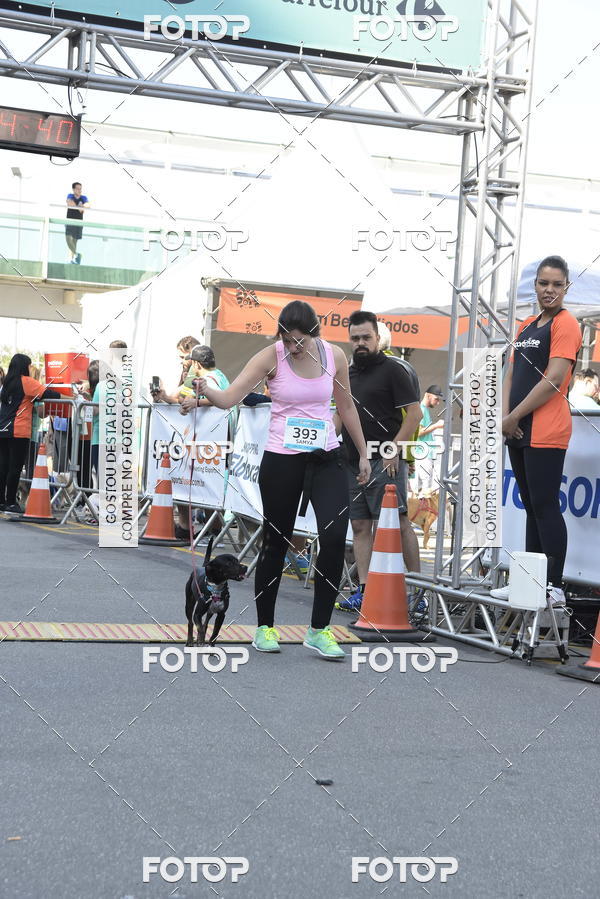 Buy your photos of the event2� Pet Run Shopping Eldorado  on Fotop