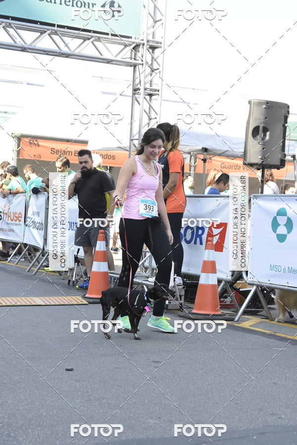 Buy your photos of the event2� Pet Run Shopping Eldorado  on Fotop