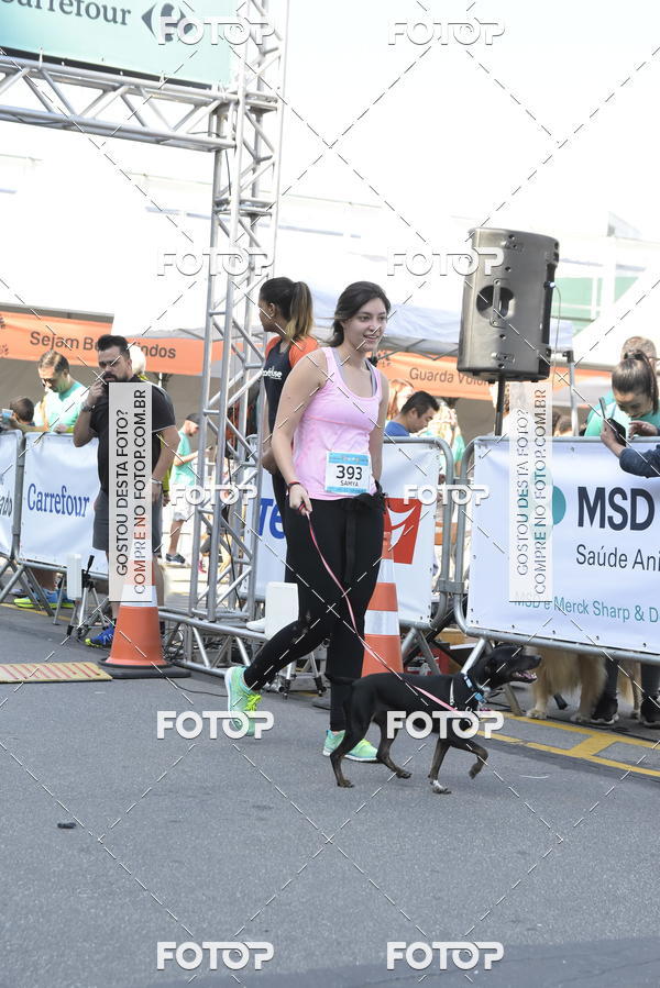 Buy your photos of the event2� Pet Run Shopping Eldorado  on Fotop