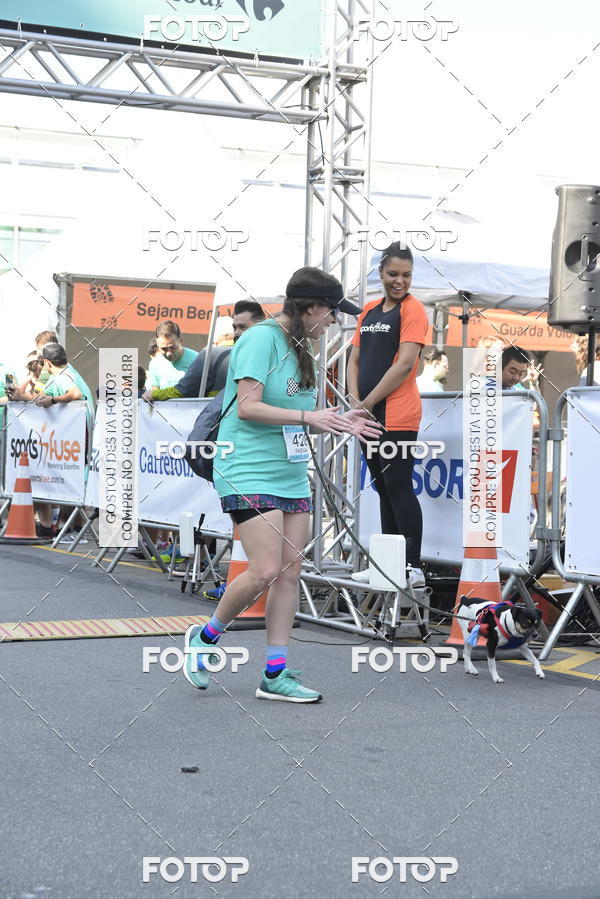 Buy your photos of the event2� Pet Run Shopping Eldorado  on Fotop