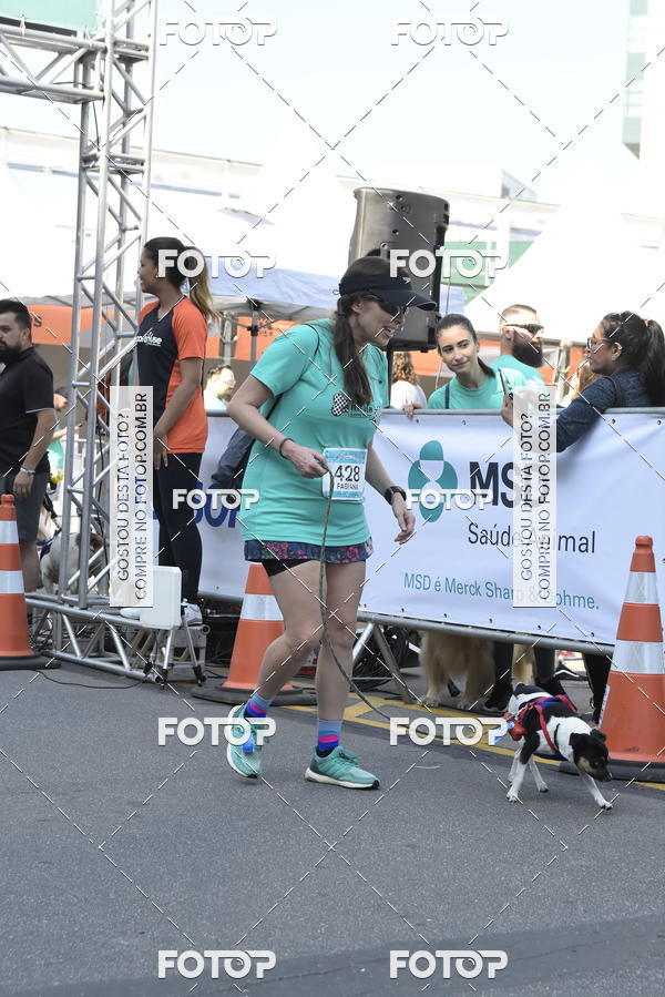 Buy your photos of the event2� Pet Run Shopping Eldorado  on Fotop