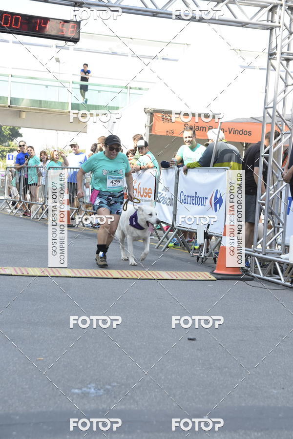 Buy your photos of the event2� Pet Run Shopping Eldorado  on Fotop