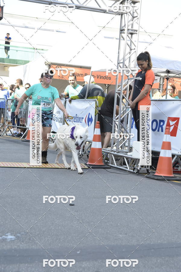 Buy your photos of the event2� Pet Run Shopping Eldorado  on Fotop