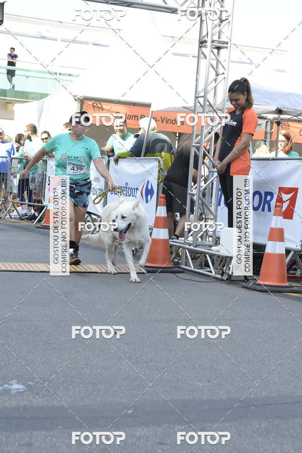 Buy your photos of the event2� Pet Run Shopping Eldorado  on Fotop