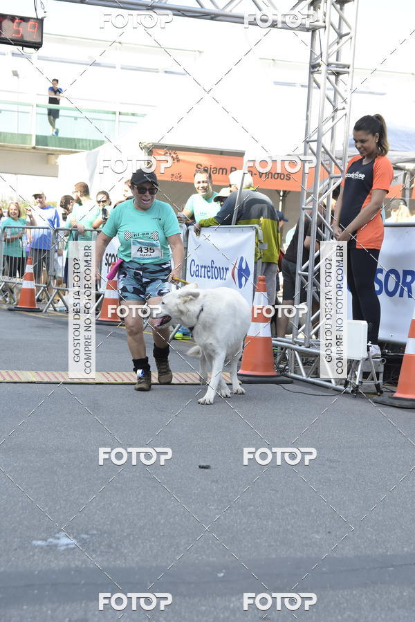 Buy your photos of the event2� Pet Run Shopping Eldorado  on Fotop