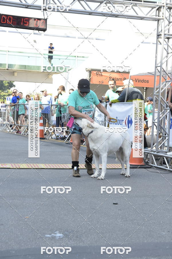 Buy your photos of the event2� Pet Run Shopping Eldorado  on Fotop
