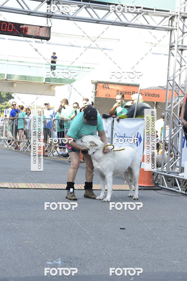 Buy your photos of the event2� Pet Run Shopping Eldorado  on Fotop