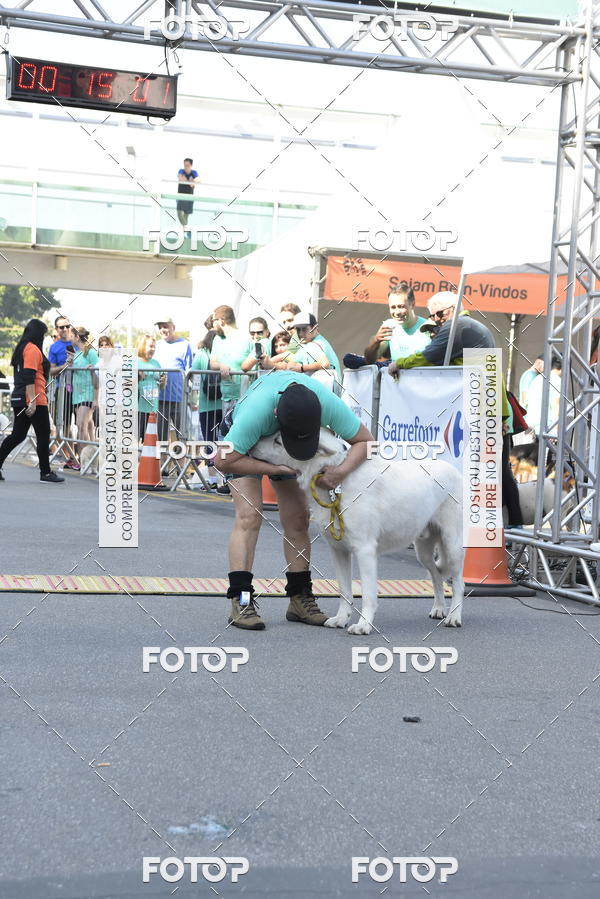 Buy your photos of the event2� Pet Run Shopping Eldorado  on Fotop
