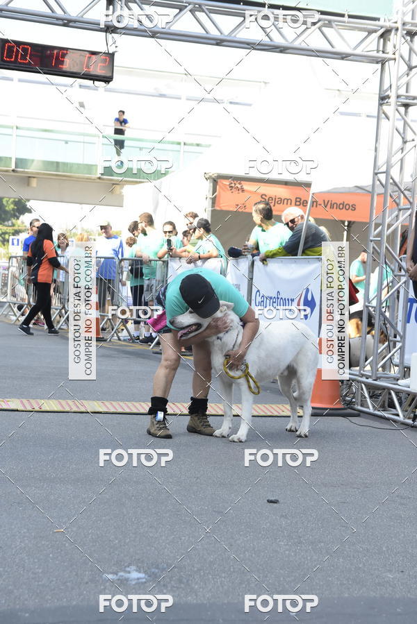 Buy your photos of the event2� Pet Run Shopping Eldorado  on Fotop