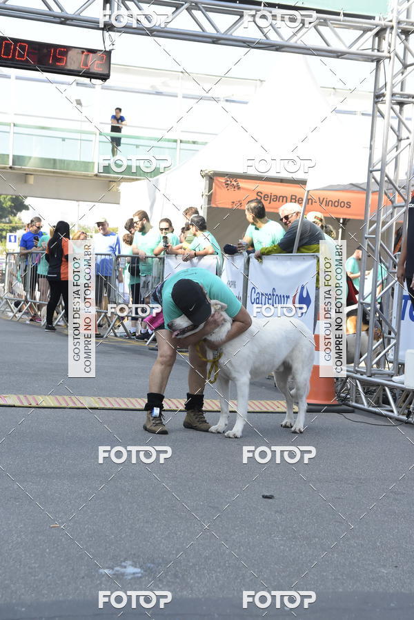 Buy your photos of the event2� Pet Run Shopping Eldorado  on Fotop