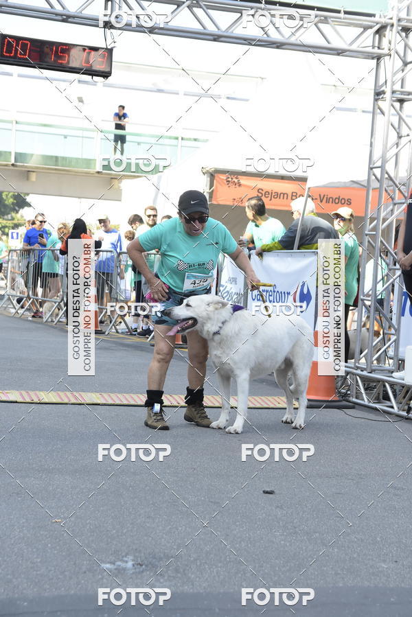 Buy your photos of the event2� Pet Run Shopping Eldorado  on Fotop