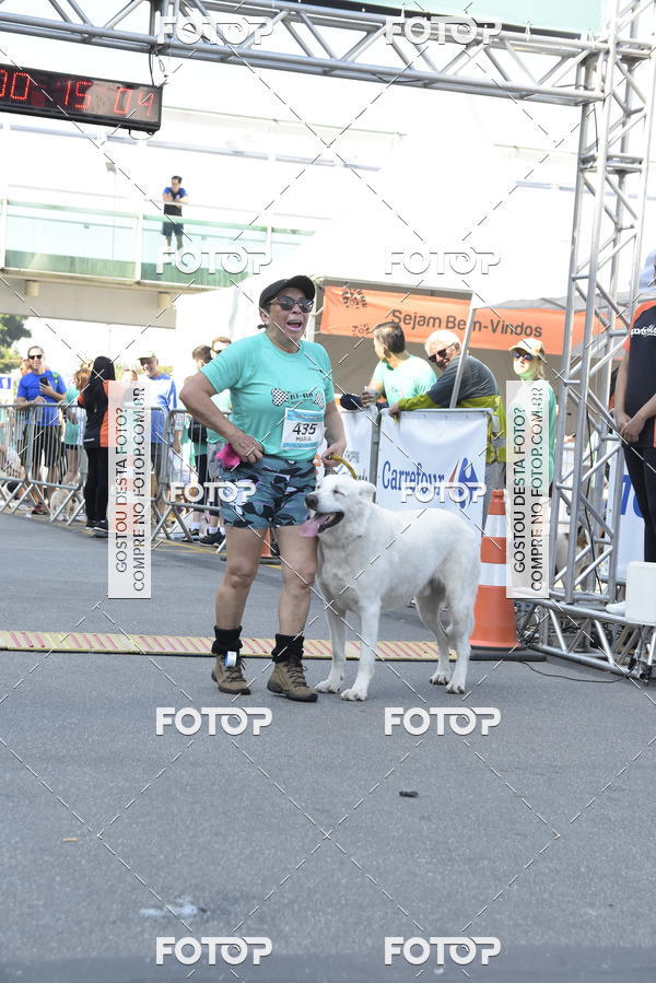 Buy your photos of the event2� Pet Run Shopping Eldorado  on Fotop