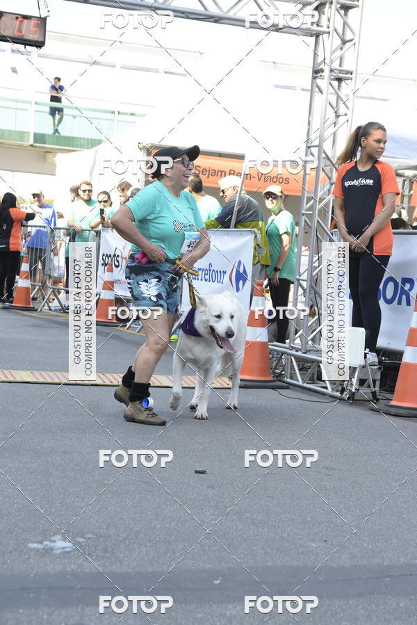 Buy your photos of the event2� Pet Run Shopping Eldorado  on Fotop