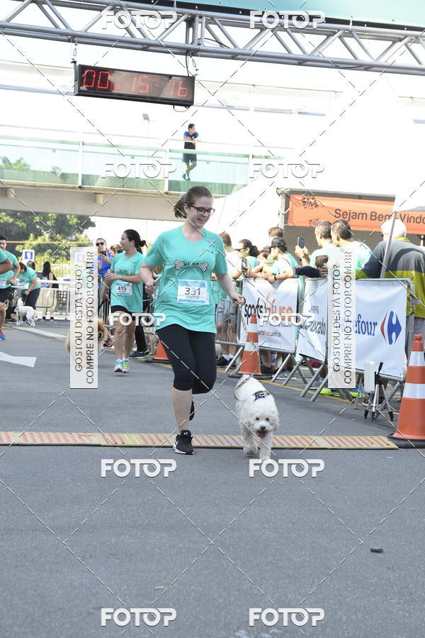 Buy your photos of the event2� Pet Run Shopping Eldorado  on Fotop