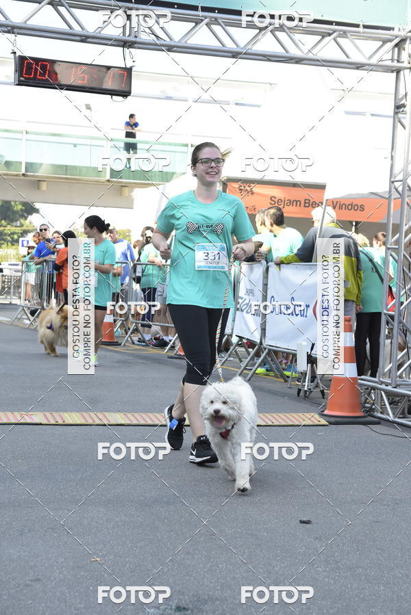 Buy your photos of the event2� Pet Run Shopping Eldorado  on Fotop