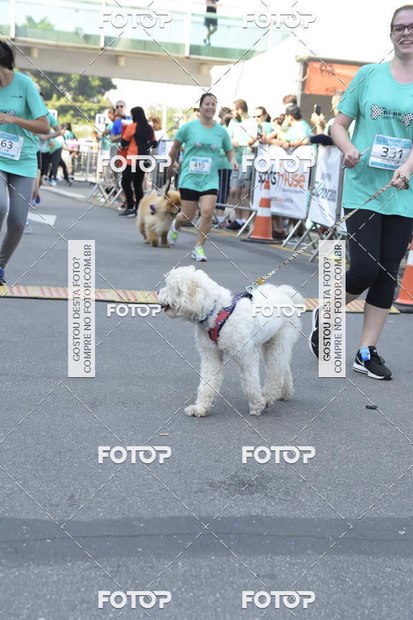 Buy your photos of the event2� Pet Run Shopping Eldorado  on Fotop