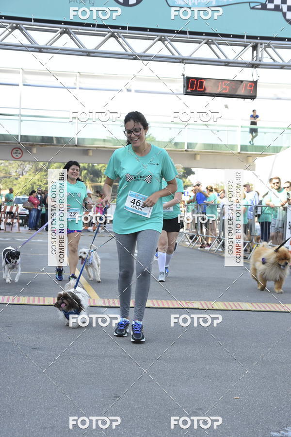 Buy your photos of the event2� Pet Run Shopping Eldorado  on Fotop
