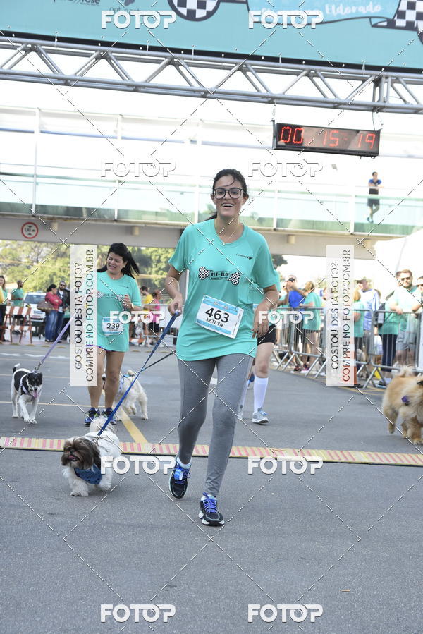Buy your photos of the event2� Pet Run Shopping Eldorado  on Fotop