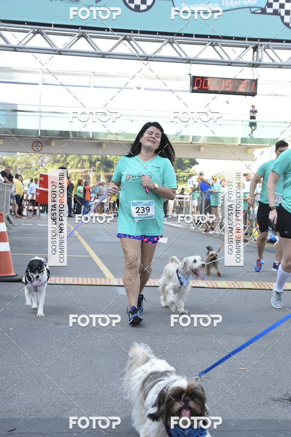 Buy your photos of the event2� Pet Run Shopping Eldorado  on Fotop
