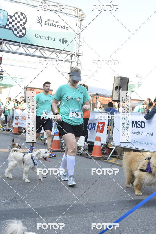 Buy your photos of the event2� Pet Run Shopping Eldorado  on Fotop