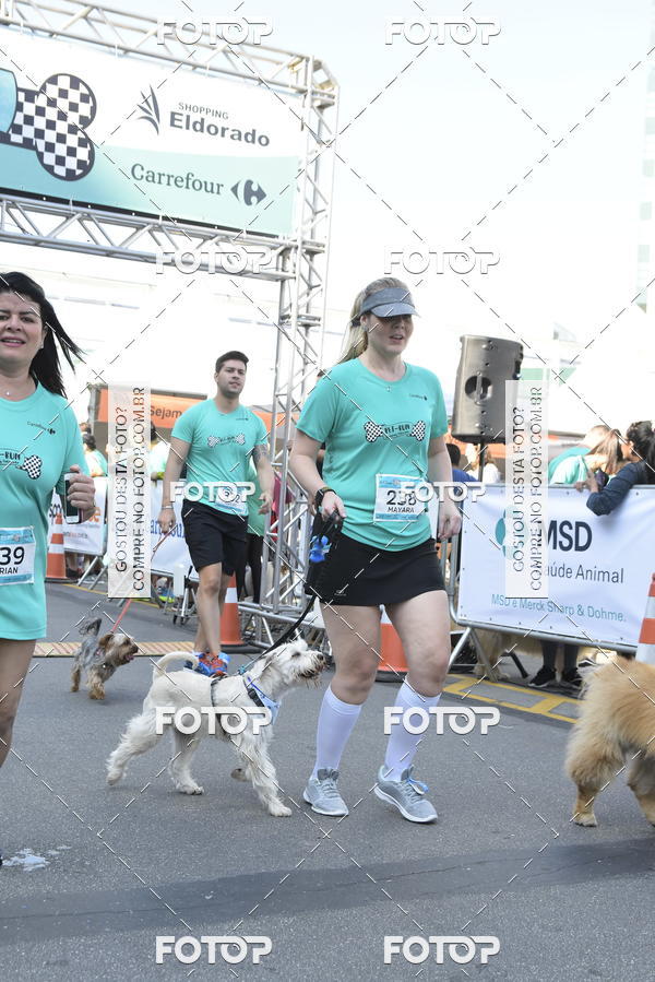 Buy your photos of the event2� Pet Run Shopping Eldorado  on Fotop