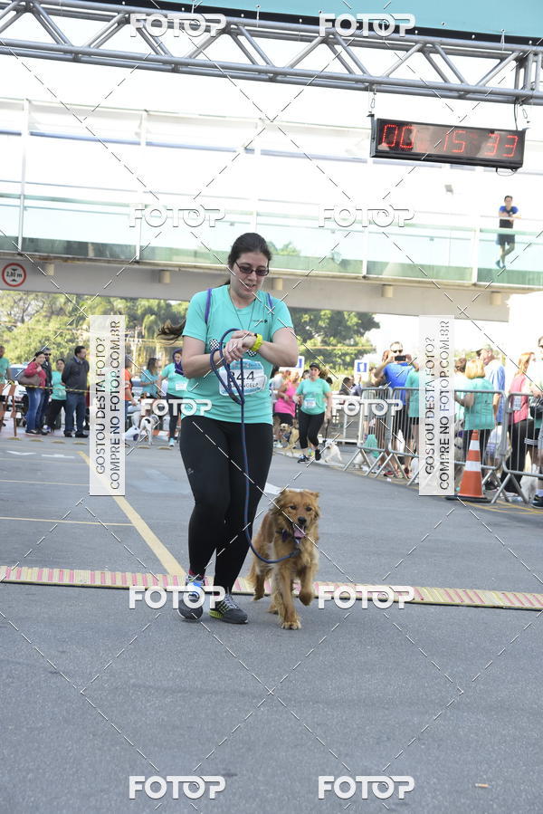 Buy your photos of the event2� Pet Run Shopping Eldorado  on Fotop