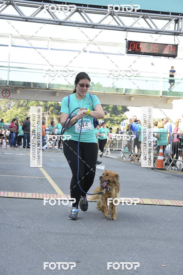 Buy your photos of the event2� Pet Run Shopping Eldorado  on Fotop