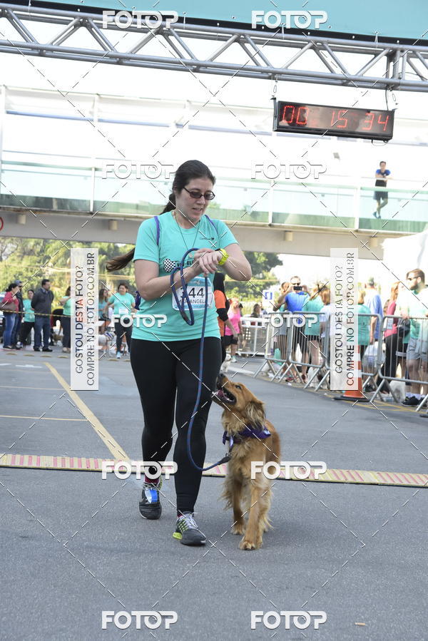 Buy your photos of the event2� Pet Run Shopping Eldorado  on Fotop